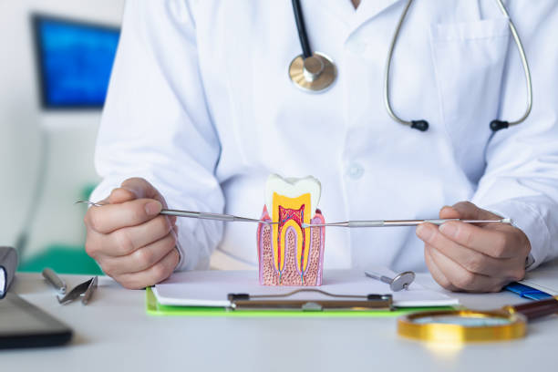Best Pediatric Emergency Dentist in Village Of The Branch, NY